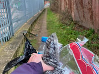‘Binfluencer’ says litter’s getting worse