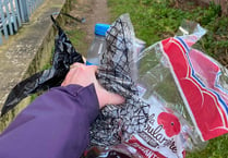 ‘Binfluencer’ says litter’s getting worse
