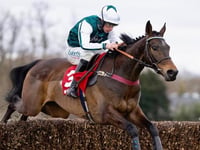 Gold Cup blow for Venetia’s yard