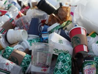 Recycling rate high in South West cities suggests research 
