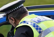 Mercedes driver banned 