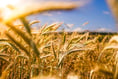 NFU event teaches farmers about building secure water systems