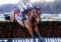 Venetia pins Gold Cup hopes on Royale Pagaille