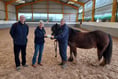 Ross Lions give money for horsing around