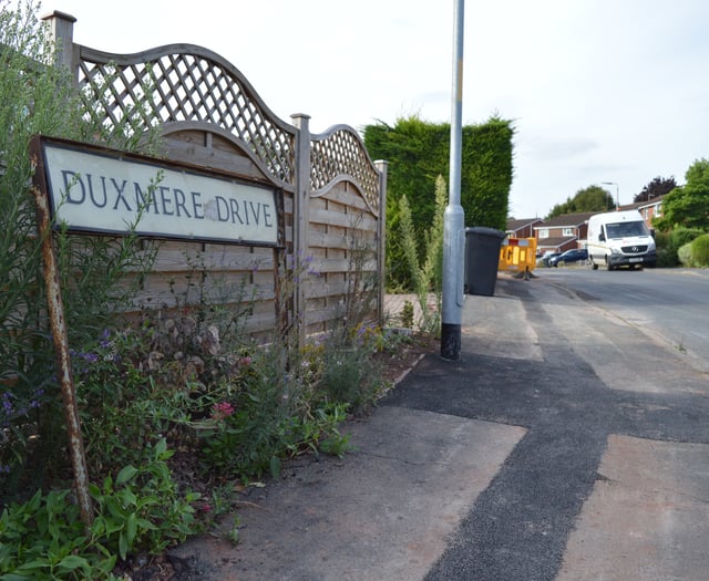 Ross residents urge greater transparency with resurfacing priorities