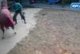 Farrier beat horse with a hammer in brutal attack