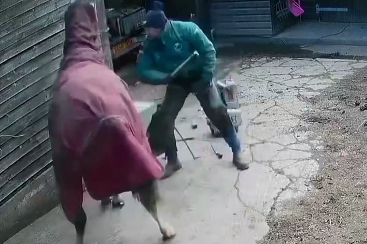 CCTV still of a man beating a horse