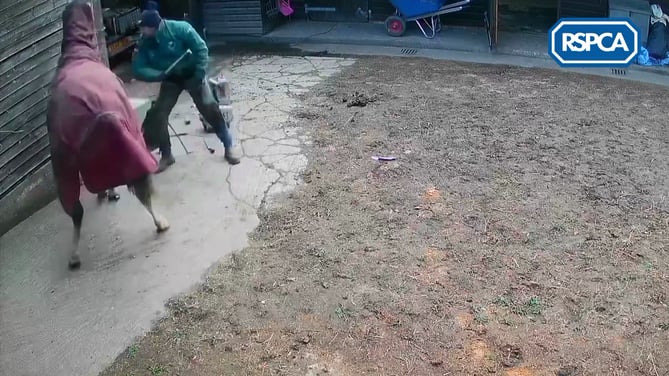 CCTV still of a man beating a horse