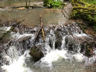 Wye Valley's unique tufa dams