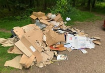 Nearly £2,000 in fines for fibbing fly tipper