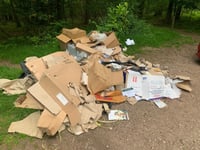Nearly £2,000 in fines for fibbing fly tipper