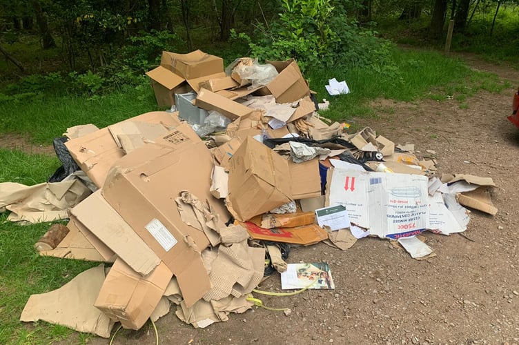 Fly tipped rubbish at Haugh Woods