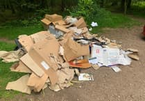 Nearly £2,000 in fines for fibbing fly tipper