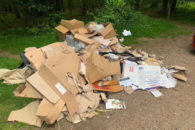Fly tipped rubbish at Haugh Woods