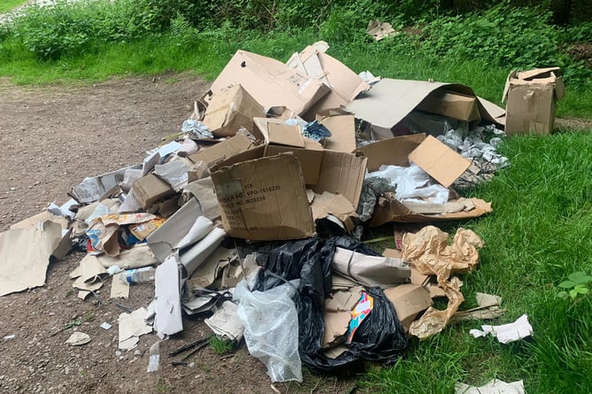 Fly tipped rubbish at Haugh Woods