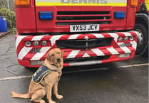 Eleven-month-old guide dog met fire engine that inspired his name