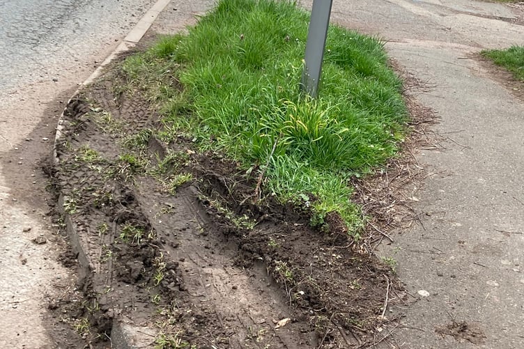 Ledbury Road verge
