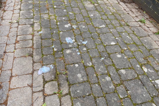 Local litter legend picks some serious glass