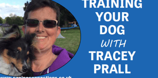 Training your dog with Tracey Prall - keep dogs on leads near sheep