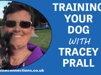 Training your dog with Tracey Prall 