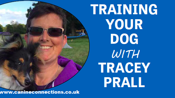 Training your dog with Tracey Prall 