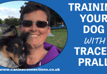 Training your dog with Tracey Prall - two-minute training sessions for new pups