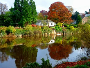Hereford named best city in UK for introverts