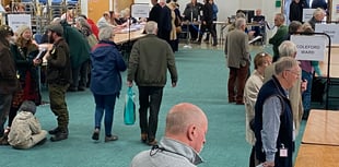 Green become largest party on Forest of Dean council