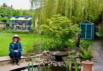 Gardening gurus gather for green-thumbed gala in Ross-on-Wye