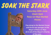 Mayor invites residents to 'Soak the Stark' in fun charity event