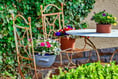 Gardening with Lynne Allbutt