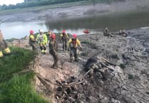 Wye rescuers work into the night to help cow stuck in deep mud in Sedbury