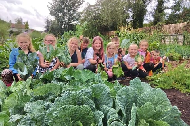 Fun in the cabbages at Ross, Haygrove Community Gardens