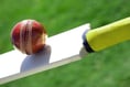 McIntyre ton secures final game win for Ross CC