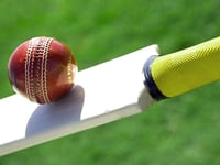 McIntyre ton secures final game win for Ross CC