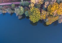 Forestry England to drill at Cannop to gather ‘critical’ evidence