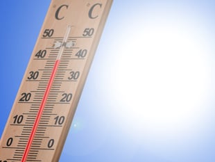 Working in hot weather: Employers asked to help workers