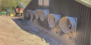 'Noisy' chicken shed fans at Monmouthshire farm to be removed
