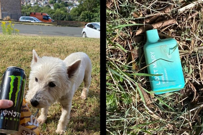 "Paws on Plastic" Litter left by people in Ross