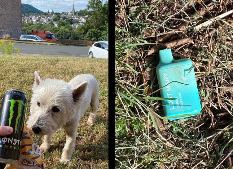 "Paws on Plastic" Litter left by people in Ross