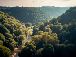 Dave Kent on the Forest and Wye Valley's 'thriving' arts scene