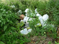 Herefordshire Council triumphs in fly-tipping enforcement case