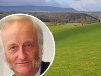 Candidates announced for Golden Valley by-election