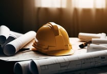 Application submitted for cypress tree felling