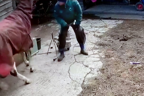 CCTV footage showed Scott Manson attacking the horse
