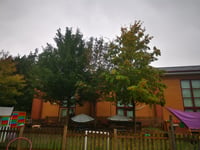St Joseph’s primary school wants to see the light