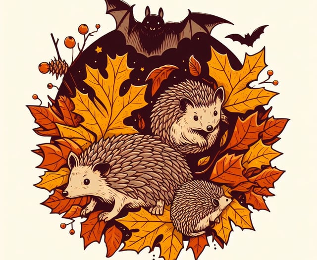 Wildlife experts advise on winter preparations for Ross-on-Wye