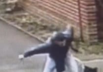 Newent man filmed beating his dog is banned from keeping animals