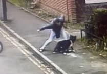 Newent man filmed beating his dog in street is banned from keeping animals