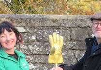Golden Glove awarded to ‘amazing’ Scarr Bandstand volunteers